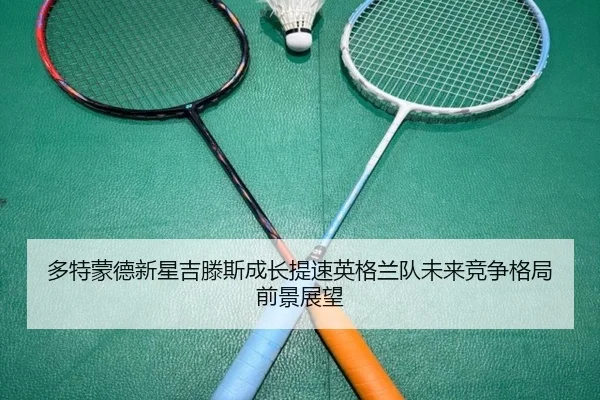 多特蒙德新星吉滕斯成长提速英格兰队未来竞争格局前景展望