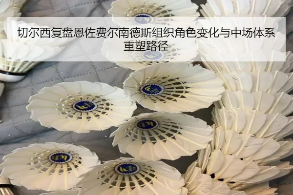 切尔西复盘恩佐费尔南德斯组织角色变化与中场体系重塑路径