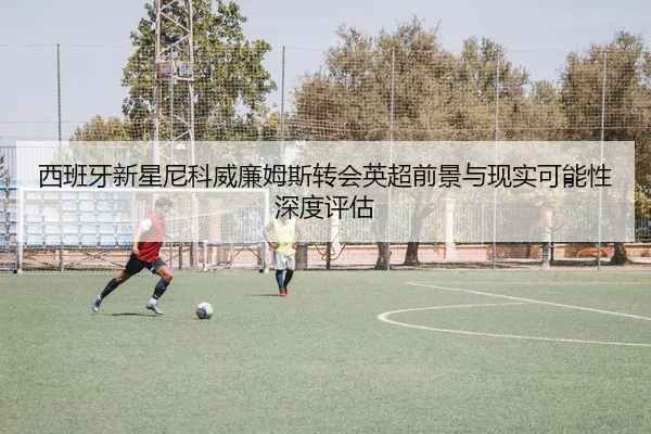 西班牙新星尼科威廉姆斯转会英超前景与现实可能性深度评估